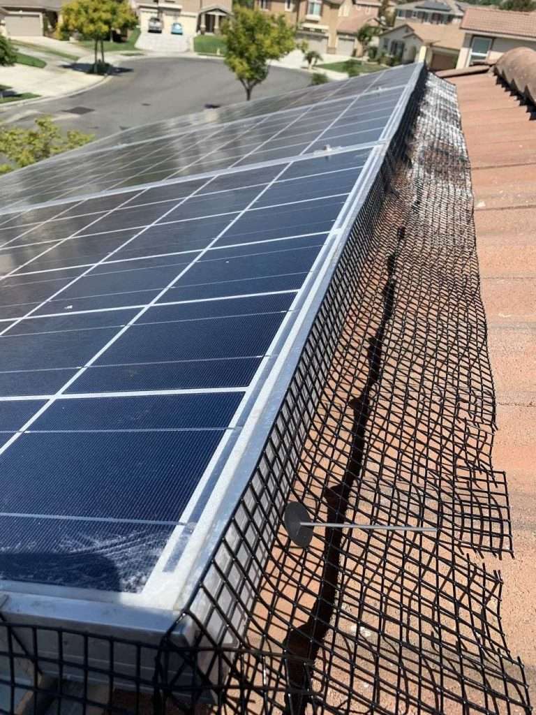 Solar Panel Cleaning Fontana