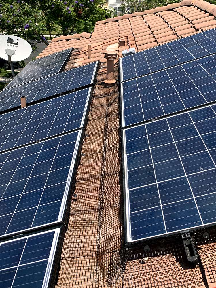 Bird Proofin Solar Panels