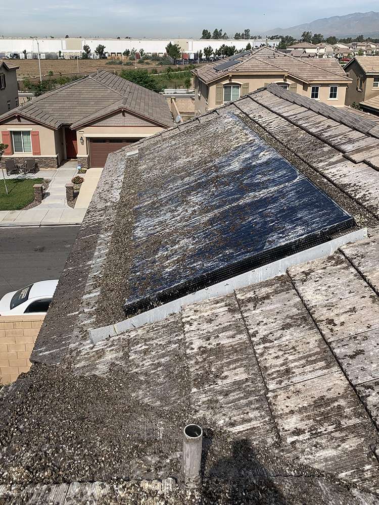 Roof Cleaning Near Me