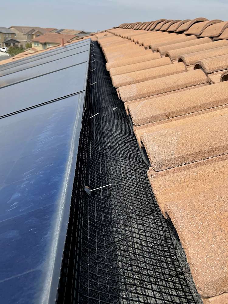 Solar Panel Bird Proofing