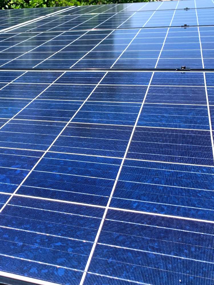solar panel cleaners near me
